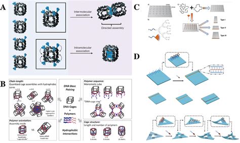 Amphiphilic Selfassembly Based On Hierarchical Dna Nanostructures