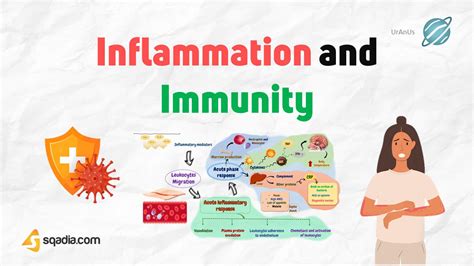 Inflammation And Immunity Introduction