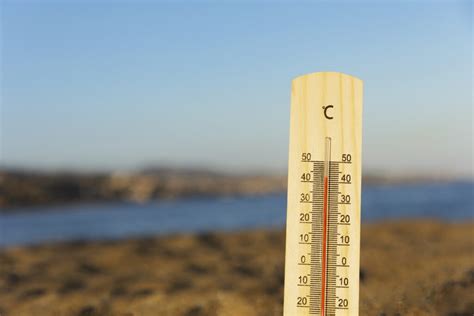 Vague de chaleur tardive quelles conséquences pour la flore