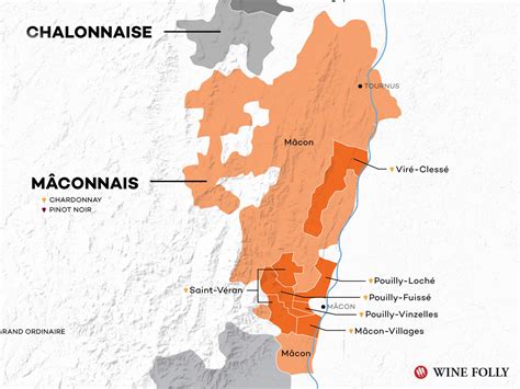 En simpel Guide til Bourgogne vin (med kort) | be settled