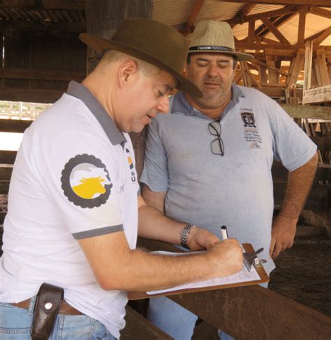 Rally Da Pecu Ria Chega Ao Mato Grosso Do Sul E Apresenta Cen Rio De