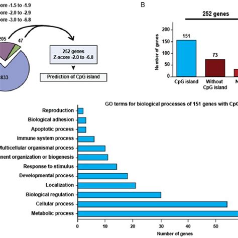Prediction of CpG island in downregulated genes by overexpression of ...
