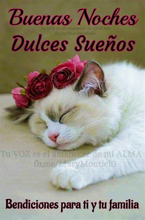 Buenas Noches Good Night Friends Good Night Quotes Good Night