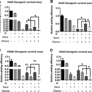 Ganetespib Shows Differential Effects With Crt In H And A