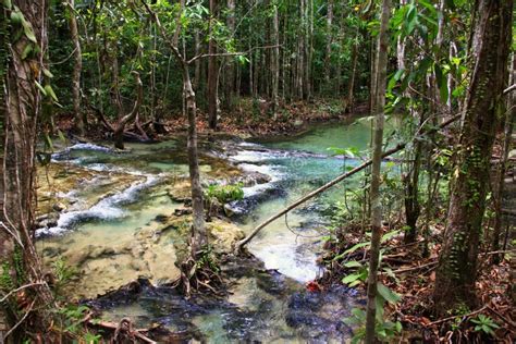 Natural Hot Water Stream Stock Photo Image Of Stream 40982472