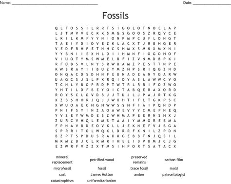 Fossil Word Search Wordmint Word Search Printable