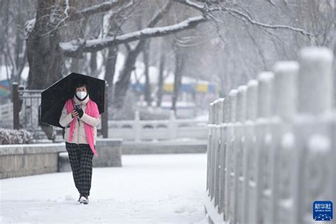 西宁迎来降雪 新华网