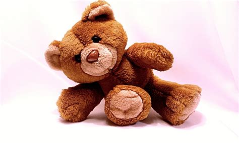 Top 999 Teddy Bear Images With Love Quotes Download Amazing