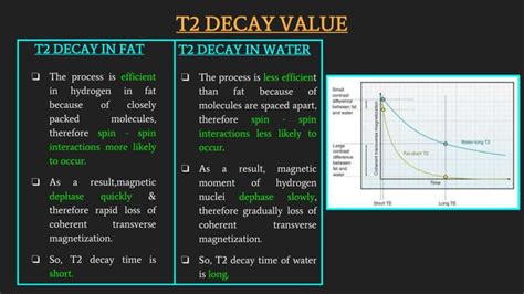 Fat Suppression Techniques In MRI PPT