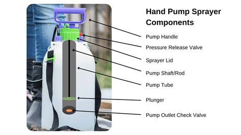 What Hand Pump Sprayer is Right for You? – Sprayer Guru