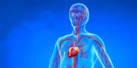 Angiography (Angiogram): Preparation, procedure, results and risks