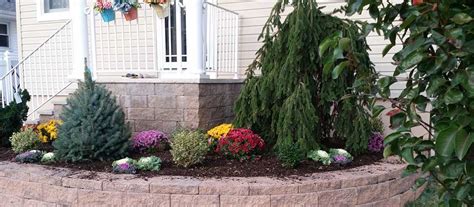 Specimen Trees And Focal Points Almost Perfect Landscaping