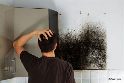 Mold Removal Tips for Homeowners to Help Them Stay Fit and Healthy