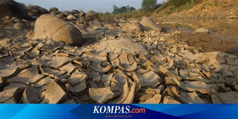 Kapan Puncak Musim Kemarau Tahun Ini Penjelasan Bmkg