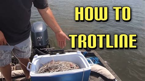 Blue Crabs Trotline Set Up Youtube