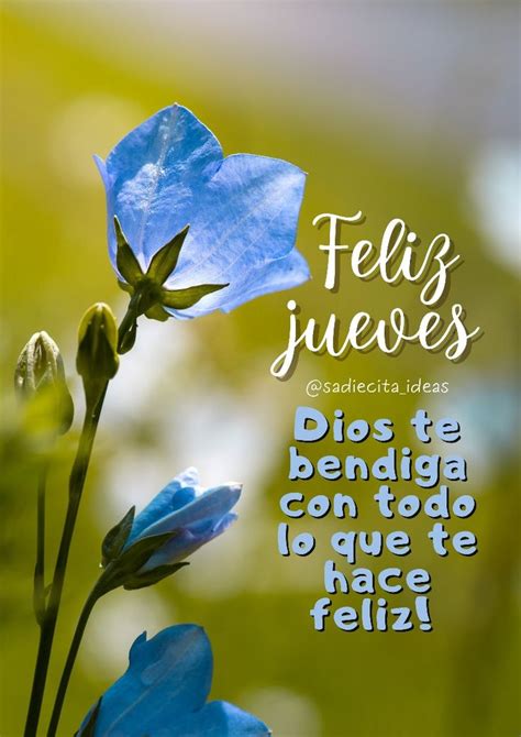 Feliz Jueves Feliz Dia Jueves Felicitaciones De Buenos Dias Hola