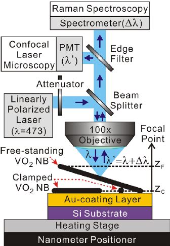 schematic   experimental setup  raman spectroscopy