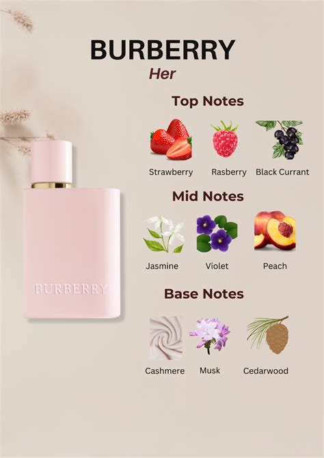 Burberry Her Eau De Toilette Spray For Women 34 Ounce In 2024 Perfume Lover Perfume Scents