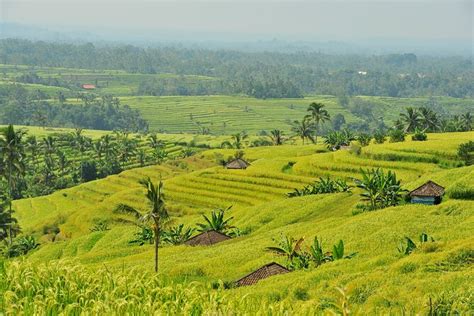 Top 10 Hiking And Trekking Spots In Bali, Indonesia | Trip101