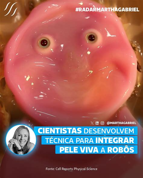 Cientistas Desenvolvem T Cnica Para Integrar Pele Viva A Rob S Futuro