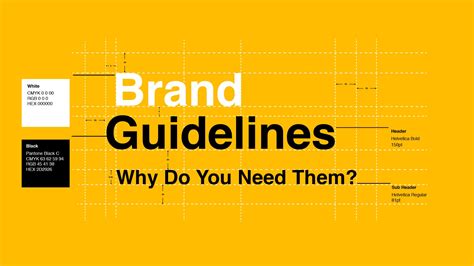 Why Your Organisation Needs Brand Guidelines Elastic