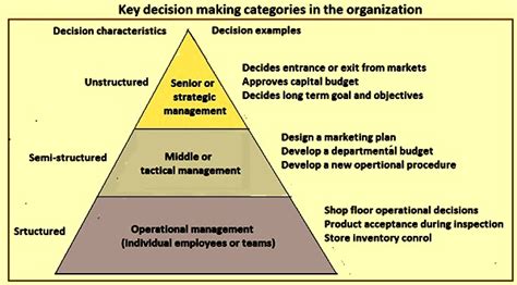 Decision Making Process In Organizations