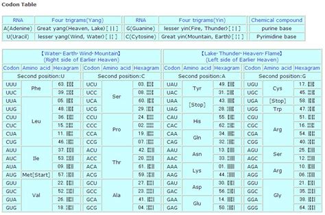 Life Navigation System: Codon table and I Ching