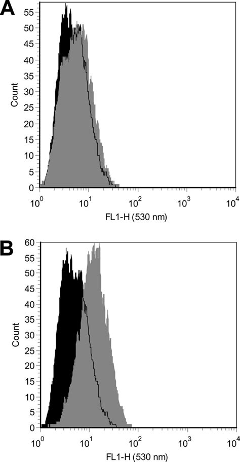 Representative Flow Cytometry Histograms Of Mitosox Red Fluorescence Download Scientific