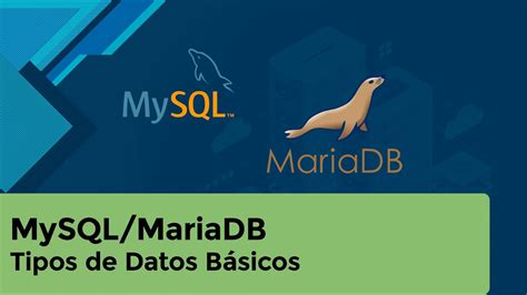 Mysqlmariadb Tipos De Datos Básicos Youtube