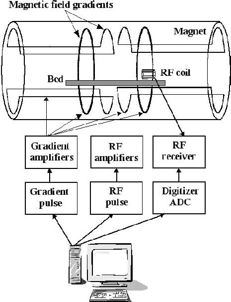 Diagram Of Whole Body Magnetic Resonance Imager Download Scientific