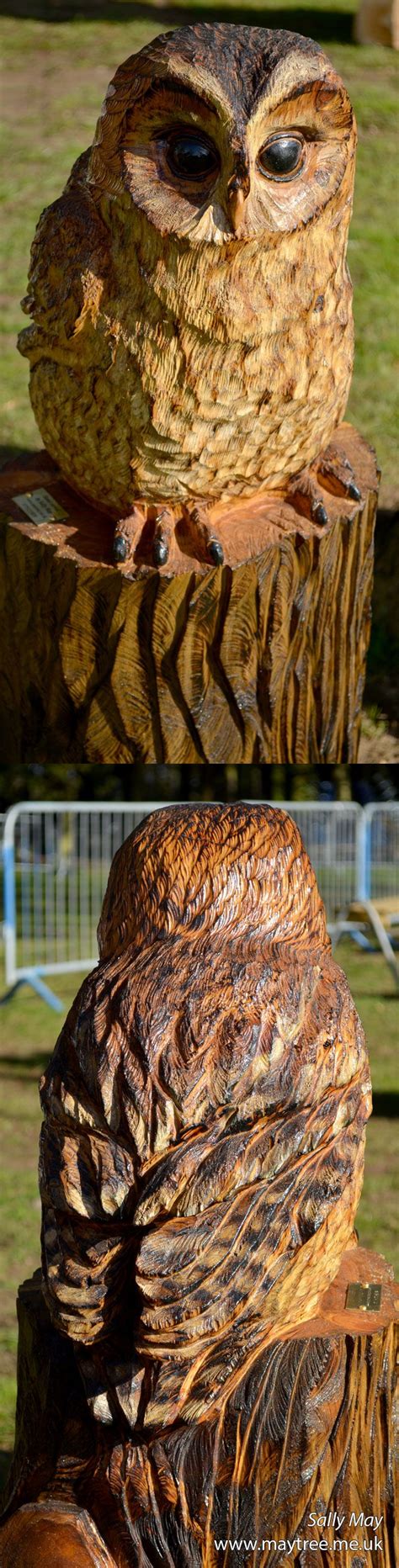 Tawny Owl Chainsaw Carving By Sally May Chainsaw Wood Carving Bird Carving Wood Carvings Wood