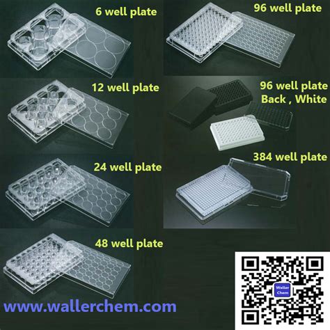 Culture Cell Plate 96 Well มีลักษณะเเละขนาดอย่างไรบ้าง อุปกรณ์