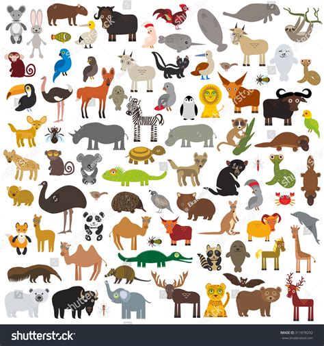 Set Cartoon Animals All Over World Stock Vector (Royalty Free ...