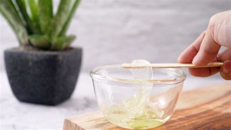 11 Health Benefits Of Aloe Vera Oil Backed By Scientific Evidence