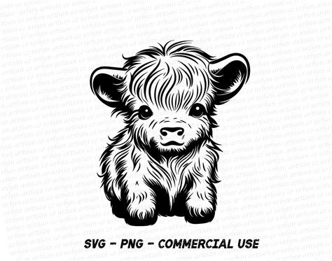 Baby Highland Cow SVG Highland Cow PNG SVG Files For Cricut