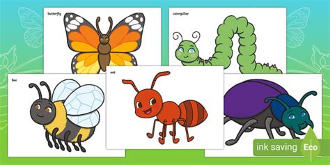 Minibeast Clipart Detailed Display A4 Cut Outs Twinkl