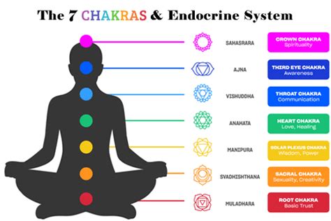 Shad Chakras Endocrine System Relevance In Maintaining Health And