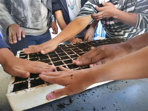 Semana Do Meio Ambiente Em Vassouras Continua A Todo Vapor