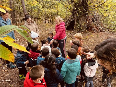 Maternelle Sortie en forêt École Sainte Thérèse