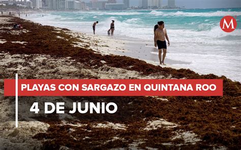 Sargazo Hoy En Playas De Quintana Roo En Junio Grupo Milenio