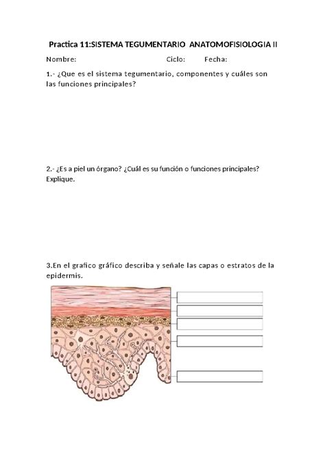 Guia Practica Tegumentario Practica Sistema Tegumentario