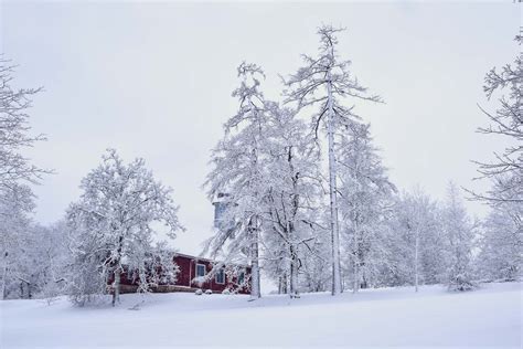 Latvia Winter Tour | Discover Latvia Tours