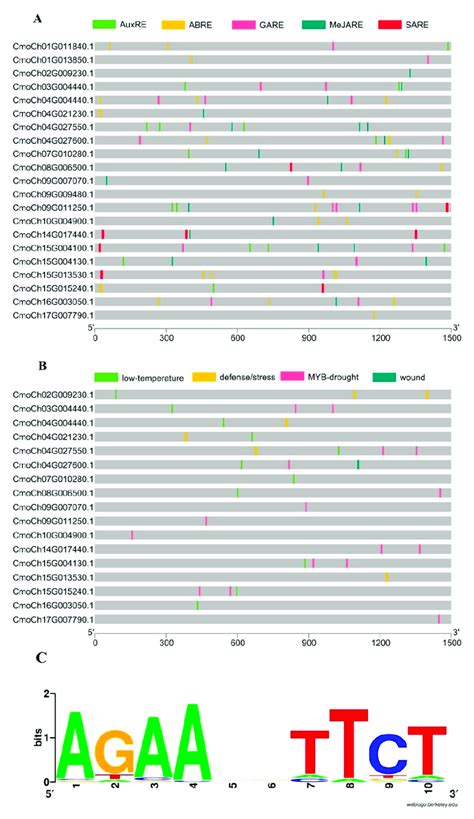 Cis Regulatory Elements Related To Hormones And Stress In Promoter Download Scientific Diagram