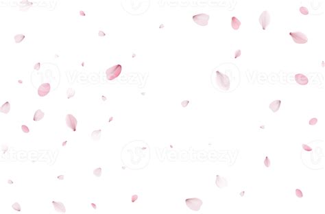 Free pétalos de sakura rosa 10898629 PNG with Transparent Background