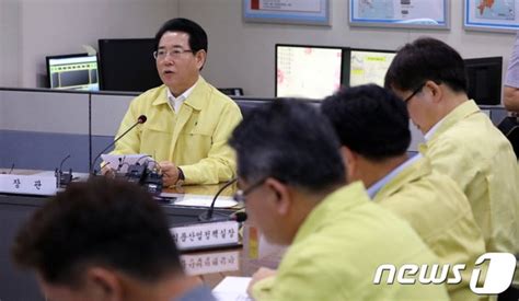 살충제 성분 검출 계란 정부 대책은 네이트 뉴스