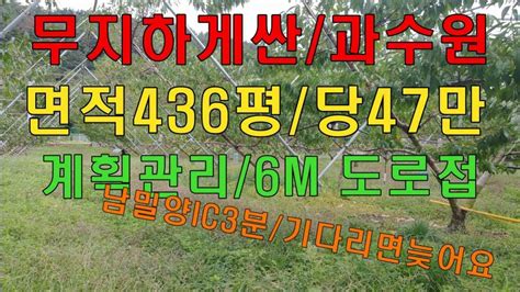 밀양토지매매밀양땅밀양부동산밀양농막 밀양시 상남면 남밀양ic 3분 시세대비 너무 저렴한 과수원 계획관리 네모반듯한 토지