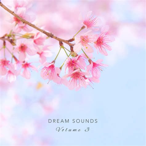 Dream Sounds Vol Albumby Dream Sounds Spotify