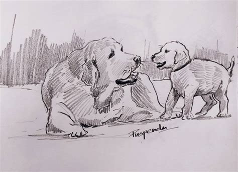 Dog and Puppy Drawing by Puspendu RoyKarmakar | Saatchi Art