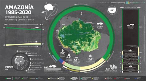 Deforestación La Amazonía perdió un área equivalente a Chile en 36 años