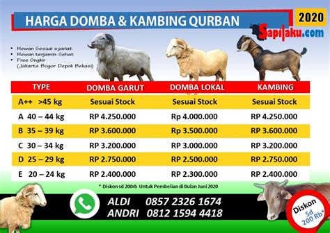 Katalog Hewan Kurban Sapilaku Farm Shop And Investment